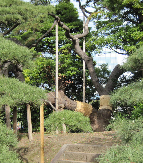 Hama Rikyu Gardens